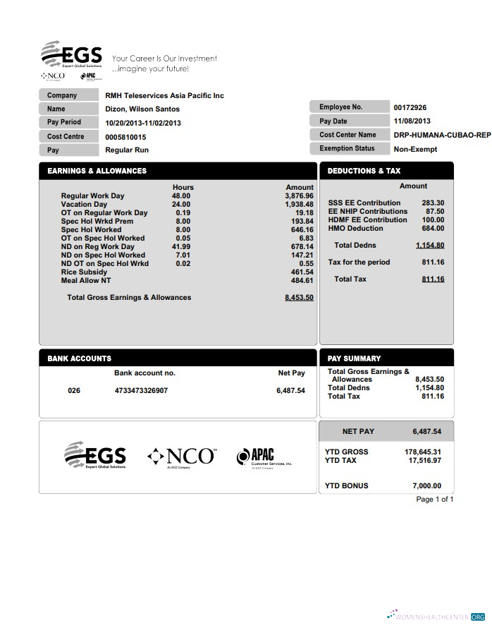 Download EXPERT GLOBAL SOLUTIONS COMPANY pay stub in PDF and Word format Photoshop template